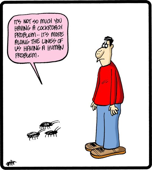 'It's not so much you having a cockroach problem - it's more along the lines of us having a human problem.'