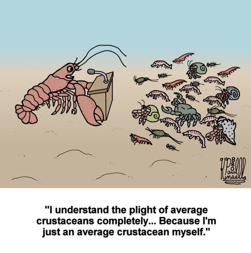 'I understand the plight of average crustaceans... Because I'm just an average crustacean myself.'