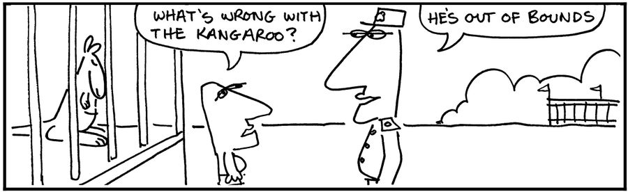 'What's wrong with the kangaroo?'