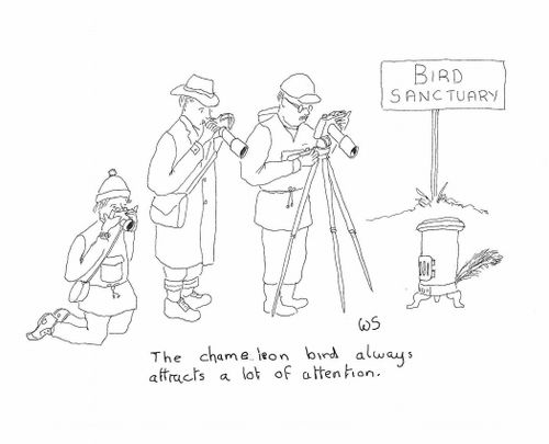 The chameleon bird always attracts a lot of attention.
