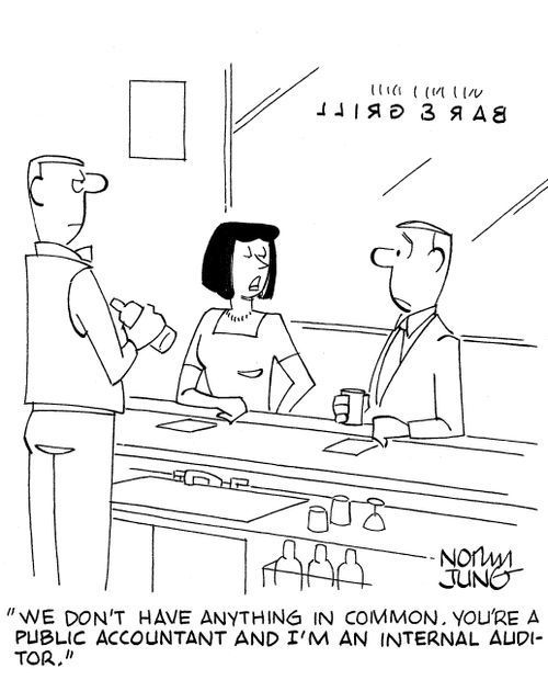 'We don't have anything in common. You're a public accountant and I'm an internal auditor.'