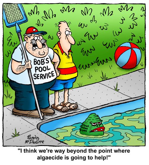 'I think we're way beyond the point where algaecide is going to help!'