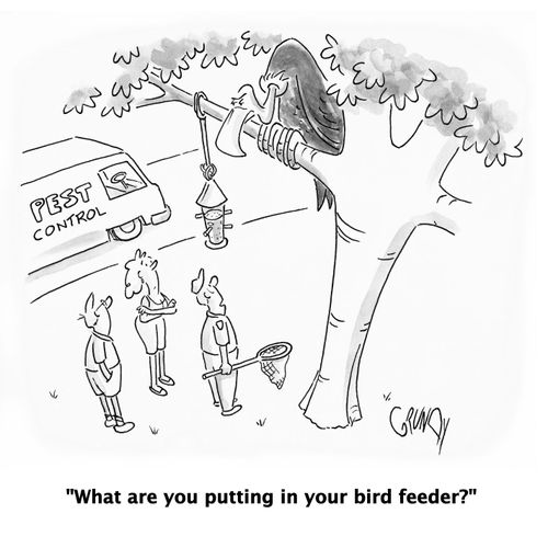 'What are you putting in your bird feeder?'