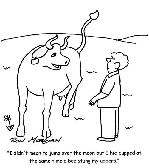 'I didn't mean to jump over the moon but I hic-cupped at the same time a bee stung me on my udders.'