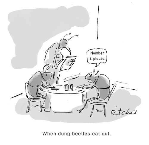 When dung beetles eat out. 