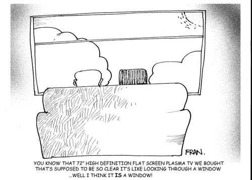 You know that high definition flat screen plasms tv we bought that's supposed to be so clear it's like looking through a window...well I think it is a window!