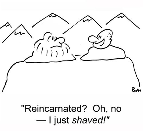 'Reincarated? Oh, no -- I just shaved!'