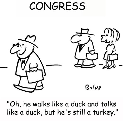 'Oh, he walks like a duck and talks like a duck, but he's still a turkey.'