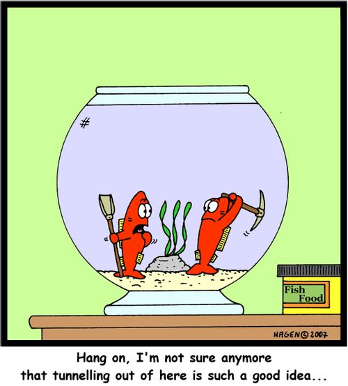 'Hang on, I'm not sure anymore that tunnelling out of here is such a good idea...'