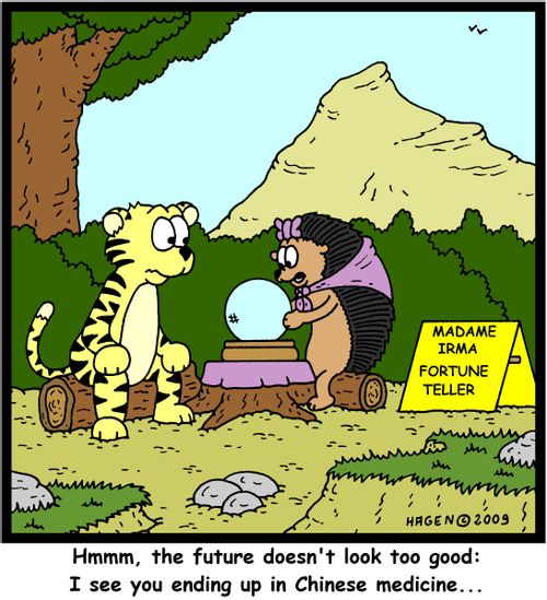 'Hmmm, the future doesn't look too good: I see you ending up in Chinese medicine...'