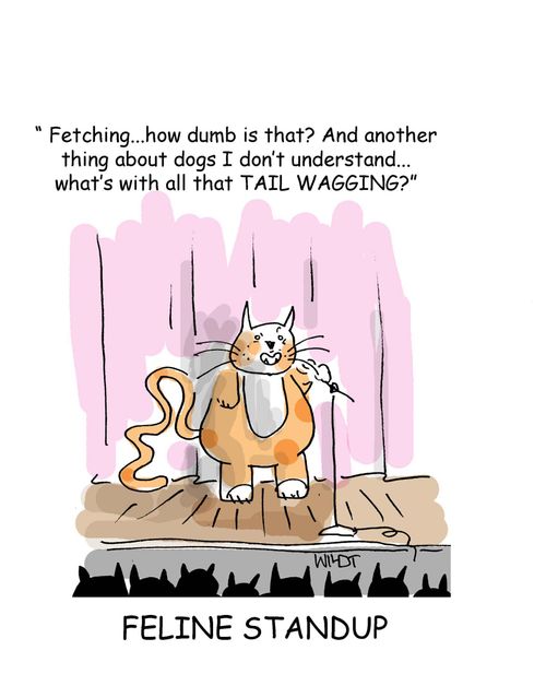 Feline Stand Up - 'Fetching...how dumb is that? And another thing I don't understand...what's with all that TAIL WAGGING?'