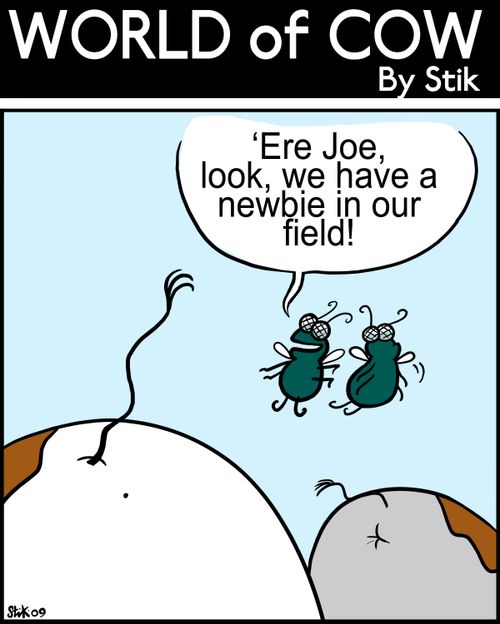 'Ere Joe, look, we have a newbie in our field!