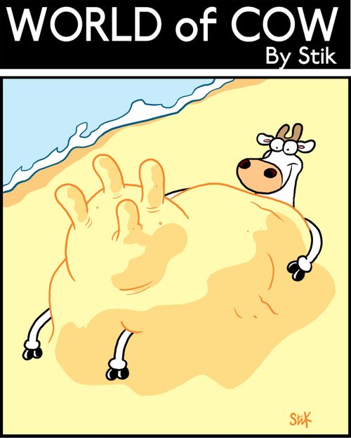 Cow makes a sand cow body on the beach.