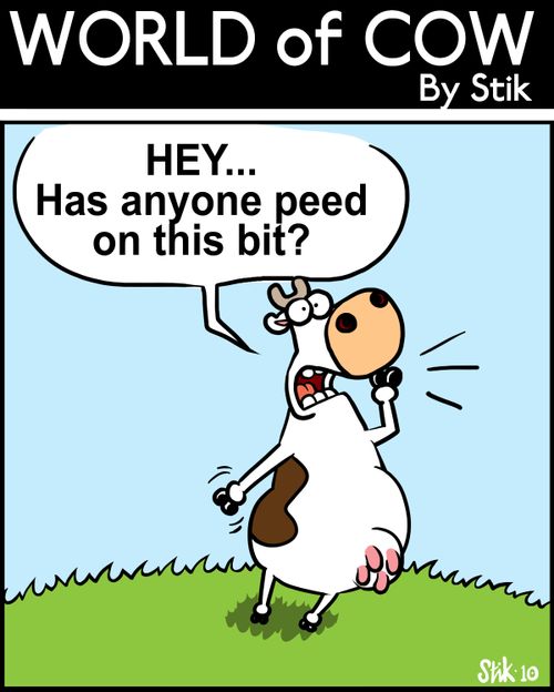 HEY...Has anyone peed on this bit?