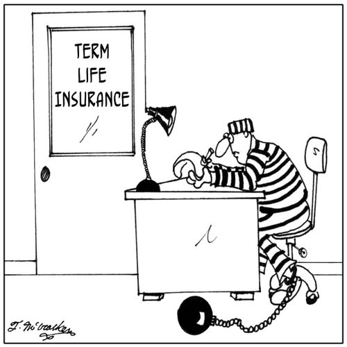 Term Life Insurance