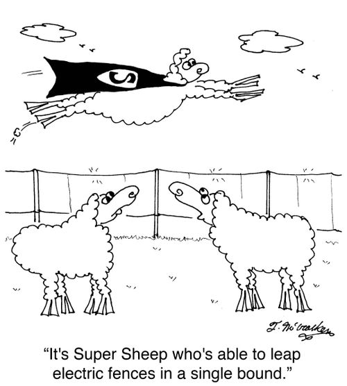 'It's Super Sheep who's able to leap electric fences in a single bound.'