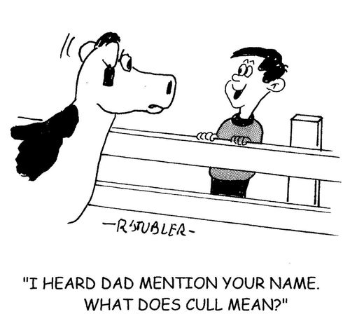 'Heard dad mention your name. What does cull mean?'