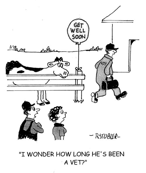 'I wonder how long he's been a vet?'