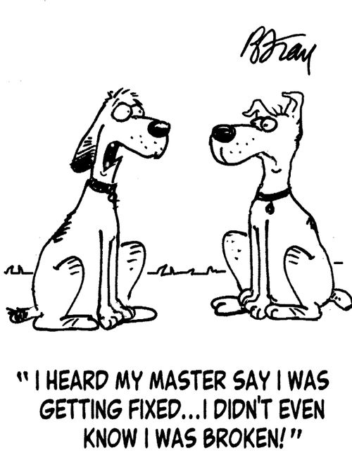 'I heard my master say I was getting fixed...I didn't even know I was broken!'
