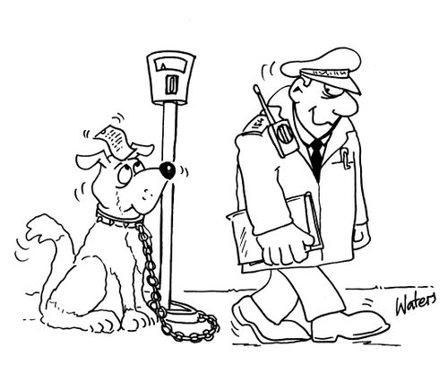 Traffic warden.