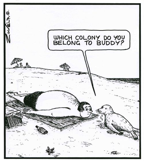 'Which colony do you belong to buddy?'