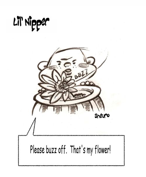 Please buzz off. That's my flower!