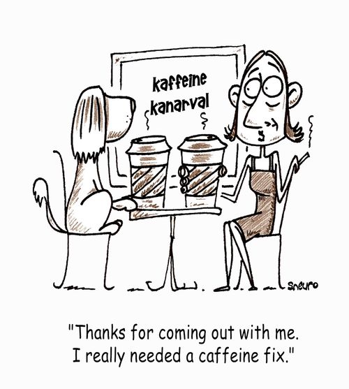 'Thanks for coming out with me. I really needed a caffeine fix.'