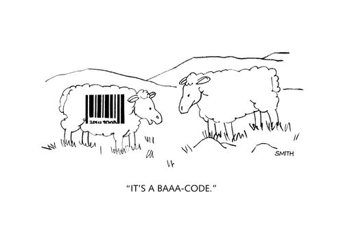 "It's a baaa-code."