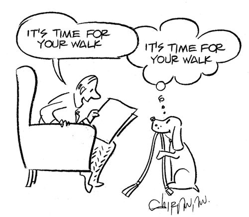 'It's time for your walk.'