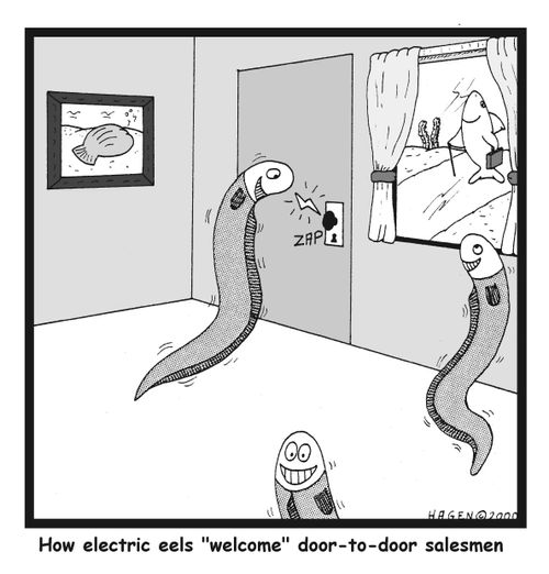 How electric eels "welcome" door-to-door salesmen