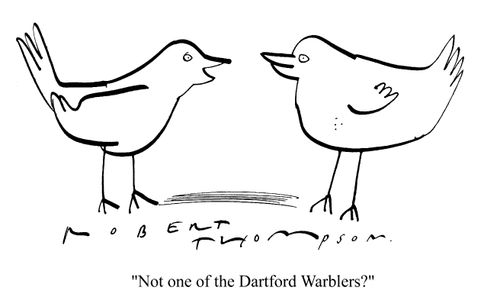 "Not one of the Dartford Warblers?"