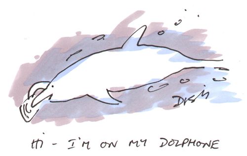 "Hi - I'm on my dolphone."