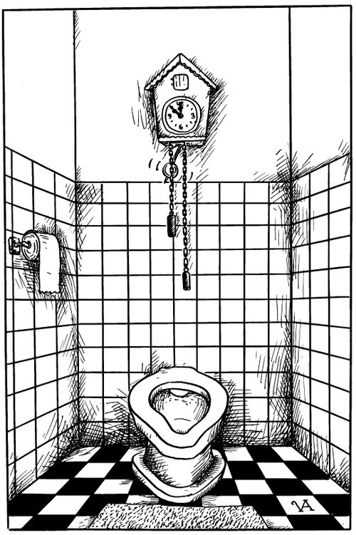Cuckoo Clock & Flush Attached to Toilet