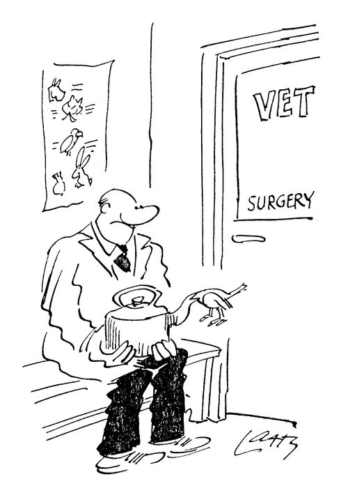 Man at vets with his pet birds head stuck in a kettle