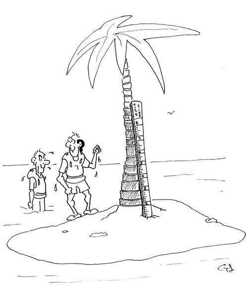 Desert island with a high tide line