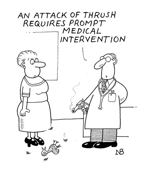 "An attack of thrush requires prompt medical intervention."