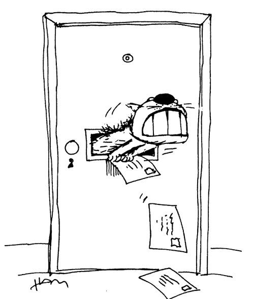 Cat flap 2