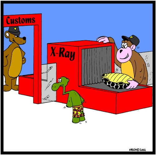 Turtle going through customs.