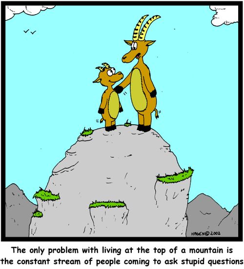 "The only problem with living at the top of a mountain is the constant stream of people coming to ask stupid questions."