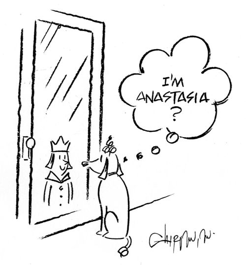 Dog looks in mirror and thinks: 'I'm Anastasia'
