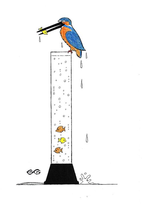 Kingfisher feeding from a water lamp.