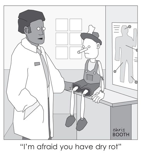 'I'm afraid you have dry rot.'