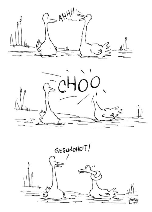 Sneezing duck.