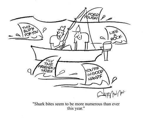 'Shark bites seem to be more numerous than ever this year.'