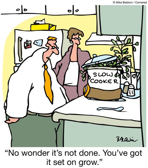"No wonder it's not done. You've got  it set on grow."