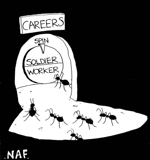 Career options for ants.