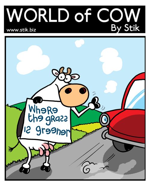 Hitchhiking cow with sign'Where grass is greener'