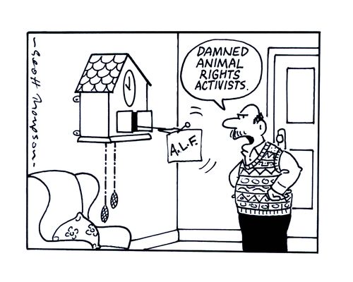 'Damned animal rights activists.' (cuckoo is gone).