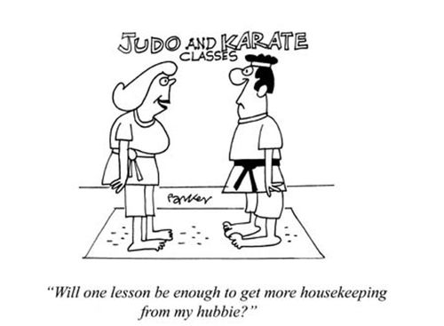 Karate and Judo: 'Will one lesson be enough to get more housekeeping from my hubbie?'