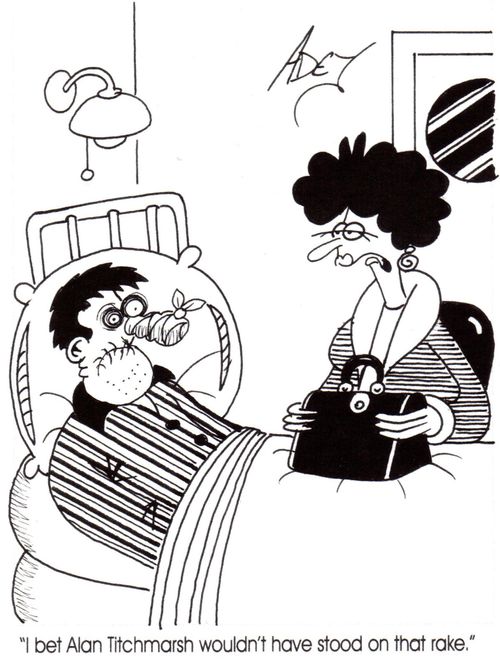 "I bet Alan Titchmarsh wouldn't have stood on that rake."